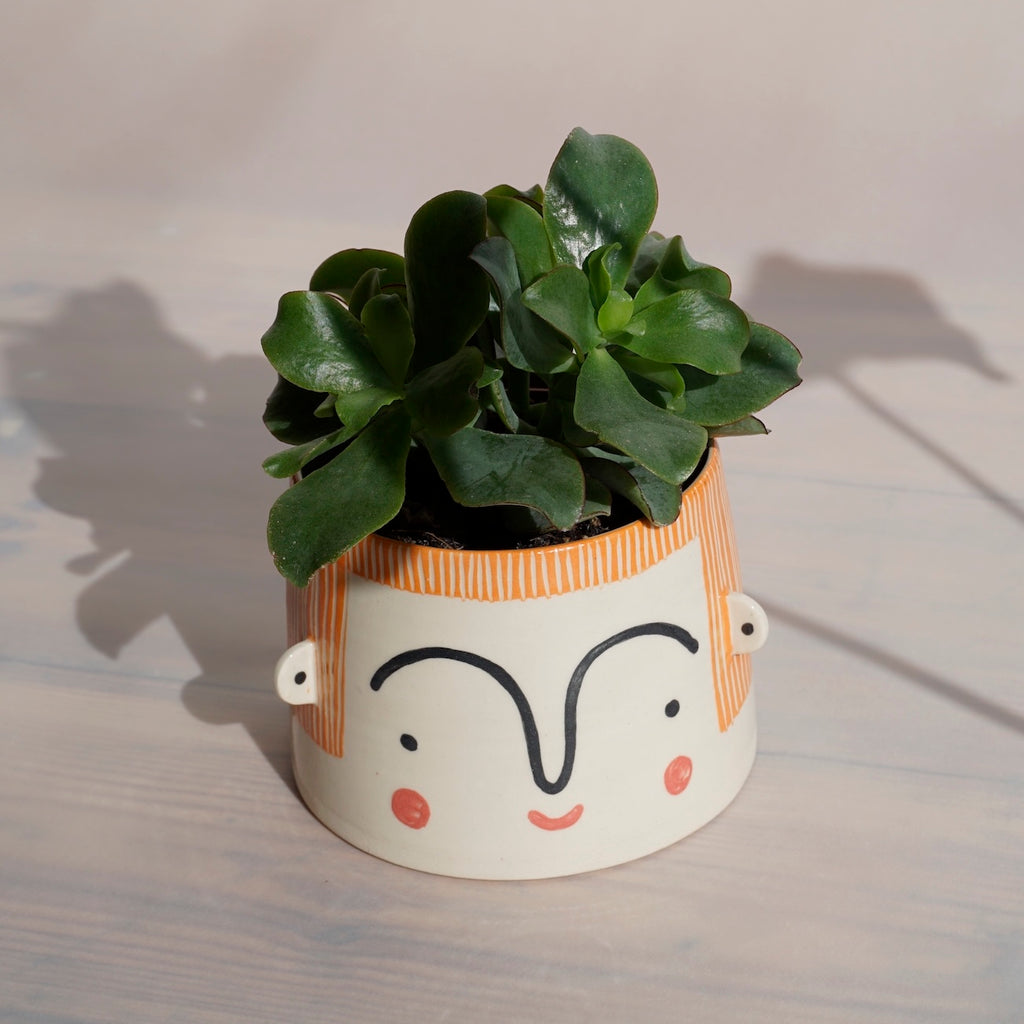 a planter with a face drawn on it and a succulent inside. handmade by Beci Callow. 