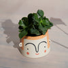 an orange planter with a big face painted onto it and a dark green plant. 