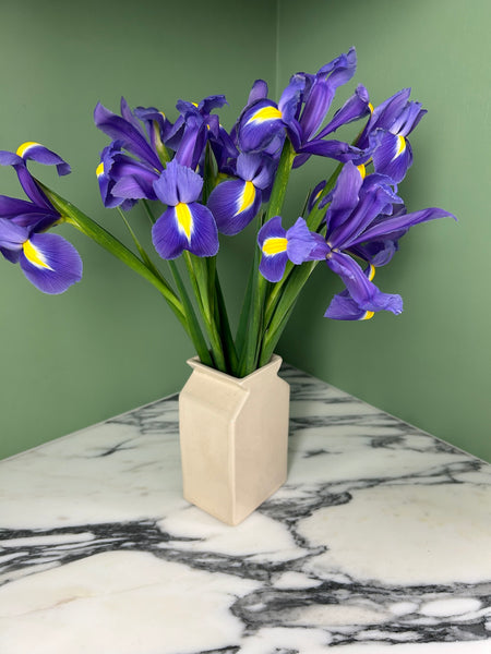 Cream coloured vase with a bunch of blue iris on a marble worktop with green background. 