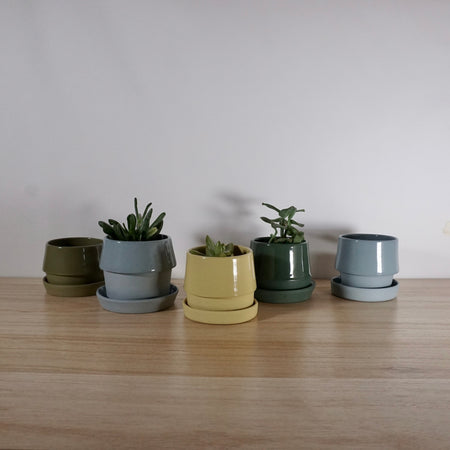 a range of five unique handmade planters in a line. three with plants and two are empty. 