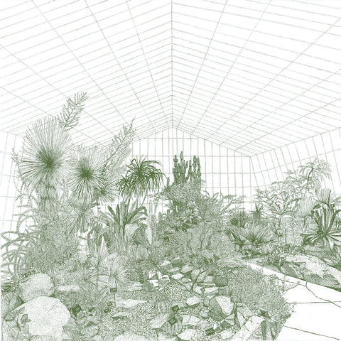 Greenhouse Cacti