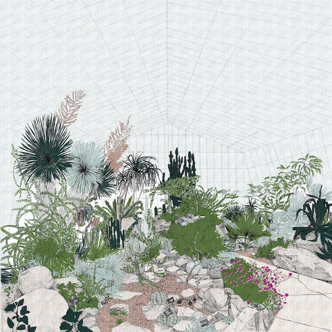 Hot Mass of Cacti