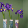 three bud vases, each with an iris in with a green background. 