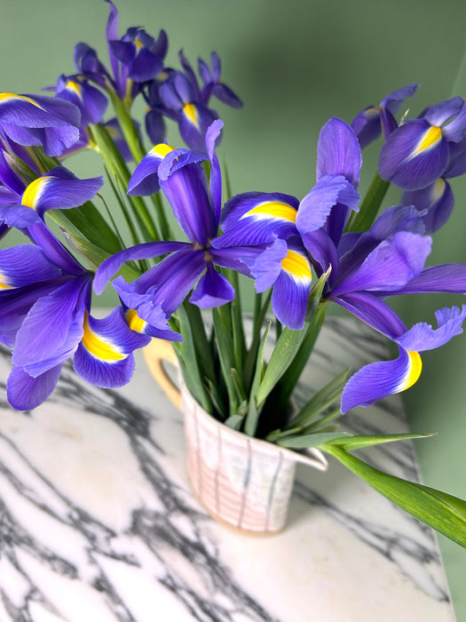 a bunch of irises in a jug on a marble table. 