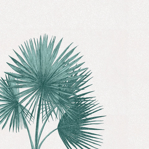 Palm Fanning